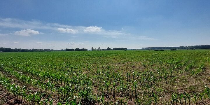 Działki i grunty Tomasz Szadkowski