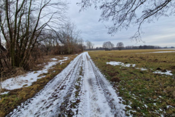 Syndyk sprzeda nieruchomości gruntowe z miejscowości Świątniki